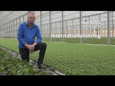 The Grower Files: Frans Bunnik van Bunnik Plants over internationalisering