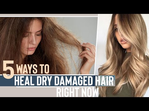 5 Ways To Heal DRY Damaged Hair In One Day