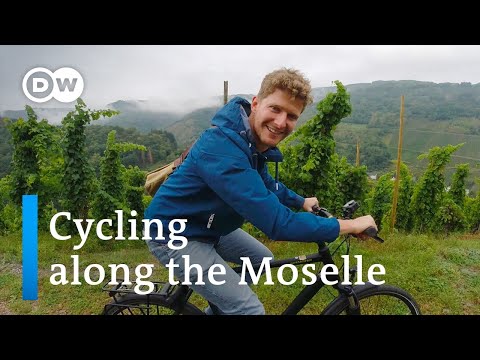 Cycling along the Moselle River | From Traben-Trarbach to Cochem | A Day at the Moselle River