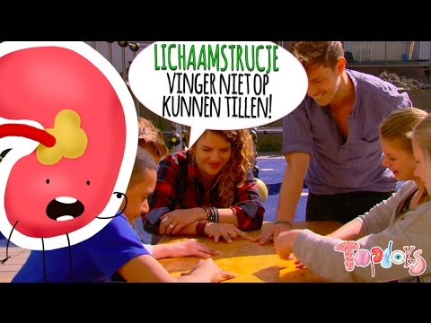 VINGER NIET MEER OPTILLEN? - LICHAAMSTRUC