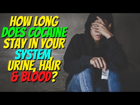 How Long Does Cocaine Stay in your Urine, System, Hair & Blood? 24/7 Helpline (561) 678-0917