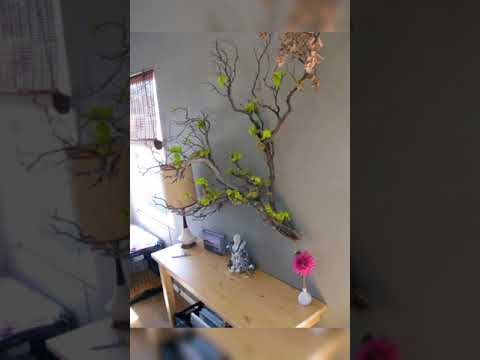 Tree branch decor ideas // tree branch wall decor ideas // tree branch wall hanging