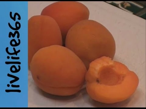 Why Eat Apricots?