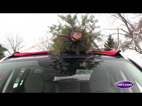 How to Tie a Christmas Tree on the Car | Cars.com
