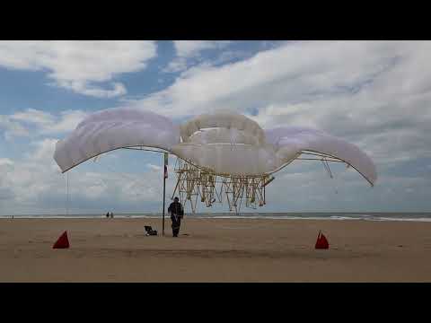 STRANDBEEST EVOLUTION 2021