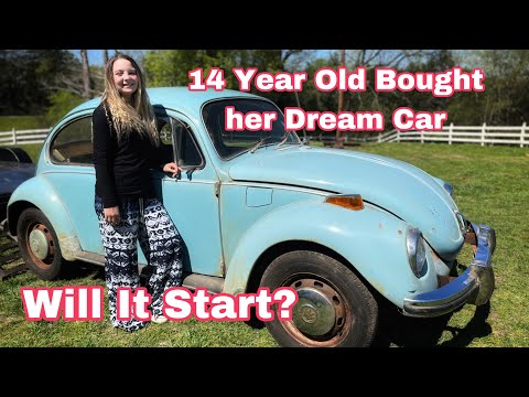 Parked 23 Years Will It Start Cheap 71 Volkswagen Beetle Survivor