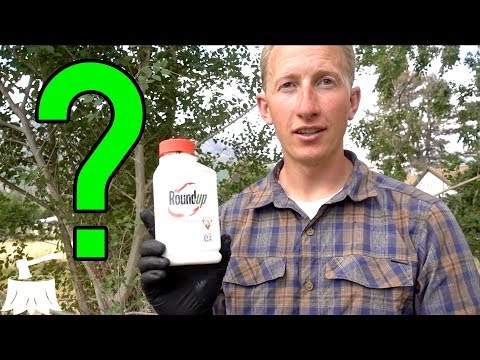 Will Roundup Kill A Tree?