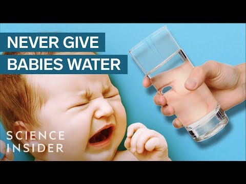 Why Babies Can't Drink Water