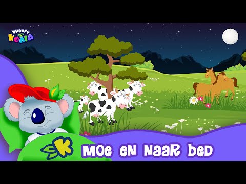 Knuffy Koala - Moe en Naar Bed | Hoe gaat mijn kind lief slapen? De leukste opvoedliedjes!